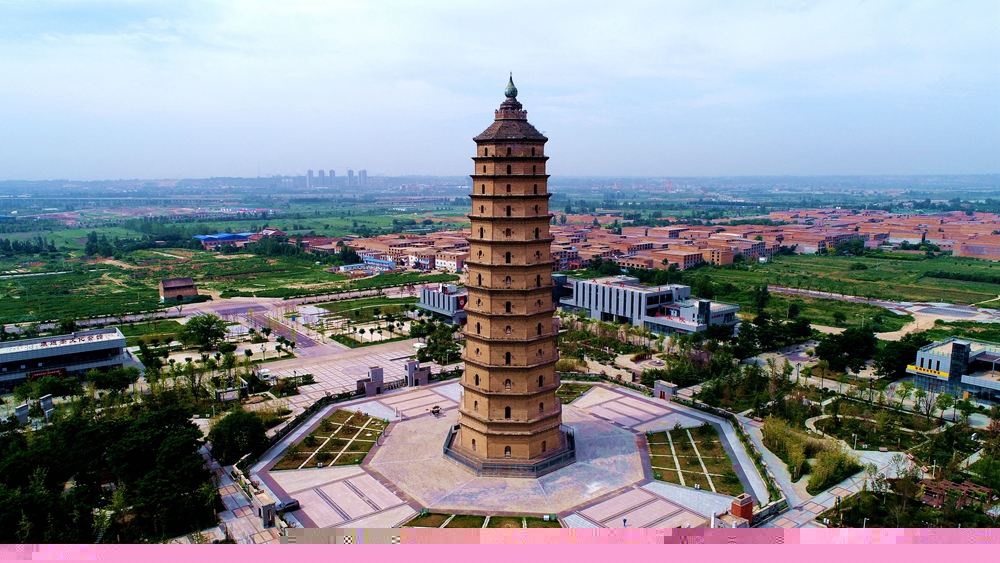 涇河新城：菊綻秋景盛 歸心醉田園