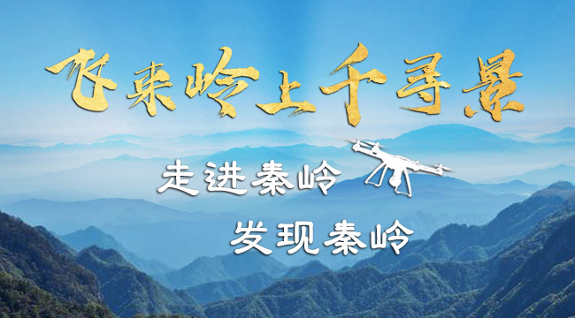 飛來嶺上千尋景 走進秦嶺 發(fā)現秦嶺