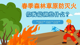 春季森林草原防滅火，你我能做些什么？