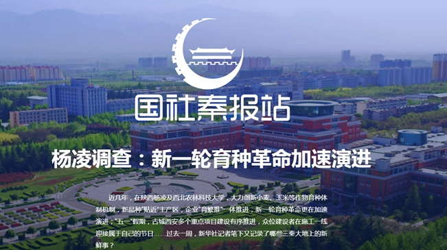 楊凌調(diào)查：新一輪育種革命加速演進